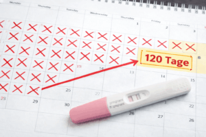 Kalender mit markierten 120 Tagen und positivem Schwangerschaftstest – Symbol für Fruchtbarkeit und Kinderwunsch