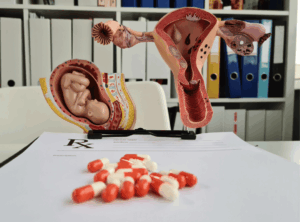 Bild von Modellen des weiblichen Uterus sowie Eierstöche. Im Vordergrund liegen Pillen auf einem Tisch