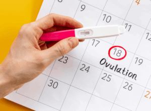 Bild von Kalender mit Ovulationstest in Hand einer Frau