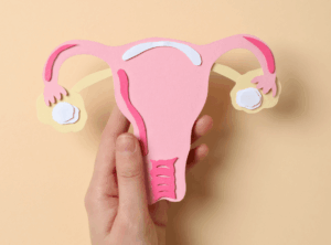 Grafik von einer Gebärmutter mit Eierstöcken