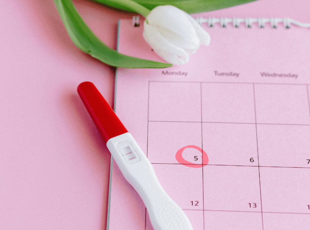Kalender mit Tulpe und LH-Test im Kinderwunsch, um Eispeung zu erkennen