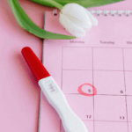 Kalender mit Tulpe und LH-Test im Kinderwunsch, um Eispeung zu erkennen
