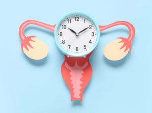 Modell von Gebärmutter und Eierstöcken mit einer Uhr in der Mitte